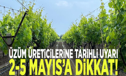 Üzüm üreticilerine tarihli uyarı: 2-5 Mayıs’a dikkat!