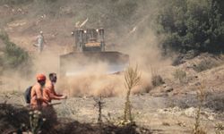 Orman yangınıyla ilgili 1 gözaltı