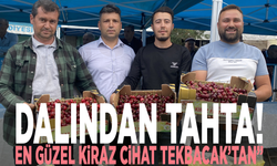 Manisa’da “Yılın En Güzel Kirazı” seçildi