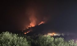 İzmir’de ormana benzin dökerek yangın çıkartan şahıs gözaltına alındı