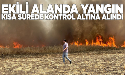 Ekili alanda çıkan yangın kısa sürede kontrol altına alındı