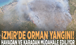 İzmir'de orman yangını: Havadan ve karadan müdahale ediliyor