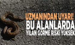Uzmanından uyarı: Bu alanlarda yılan görme riski yüksek