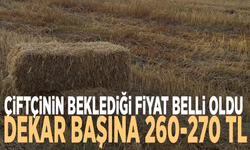 Çiftçinin beklediği fiyat belli oldu: Dekar başına 260-270 TL