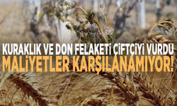 Kuraklık ve don felaketi çiftçiyi vurdu: Maliyetler karşılanamıyor!