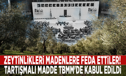 Zeytinlikleri madenlere feda ettiler! Tartışmalı madde TBMM'de kabul edildi