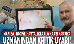 Manisa, tropik hastalıklarla karşı karşıya: Uzmanından kritik uyarı!