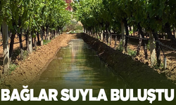 Manisa'da bağlar sulanmaya başladı