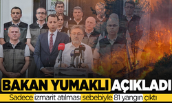 Bakan Yumaklı'dan açıklamalar: Yangınların çıkış sebebi izmarit ve piknik!