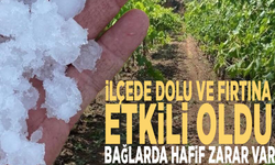 İlçede dolu ve fırtına etkili oldu: Bağlarda hafif zarar var