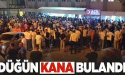 Düğün kana bulandı