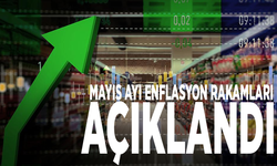 Mayıs ayı enflasyon rakamları açıklandı