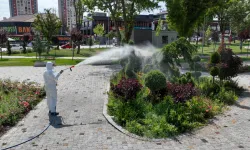 Konya'da yeşil alanları ilaçlamaya devam
