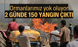 Türkiye'de 2 günde 150 yangın çıktı