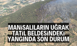 Manisalıların uğrak tatil beldesindeki yangında son durum