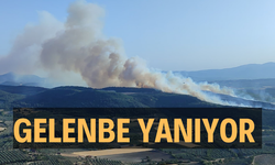 Gelenbe yanıyor