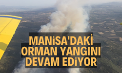 Manisa'daki orman yangını devam ediyor