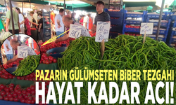 Pazarın gülümseten biber tezgahı: Hayat kadar acı!
