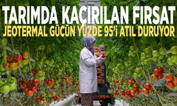 Tarımda kaçırılan fırsat! Jeotermal gücün yüzde 95’i atıl duruyor