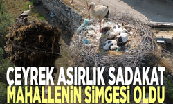 Çeyrek asırlık sadakat: Leylek mahallenin simgesi oldu