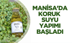 Manisa'da koruk suyu ve koruk şerbeti üretimine başlandı