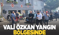Vali Özkan yangın bölgesinde incelemelerde bulundu