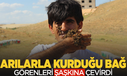 Arılarla arasındaki bağ görenleri şaşkına çevirdi: Böyle dostluk görülmedi!