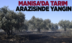 Manisa'da tarım arazisinde yangın