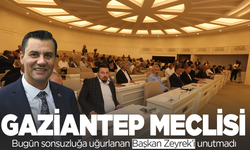 Gaziantep Büyükşehir Meclisi Ferdi Başkanı unutmadı