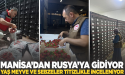 Manisa'dan Rusya'ya gönderilen yaş meyve ve sebzeler titizlikle inceleniyor