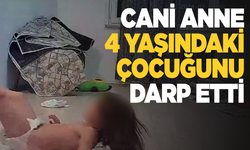 Cani anne 4 yaşındaki çocuğuna dehşeti yaşattı