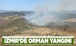 İzmir'de ormanlık alanda yangın çıktı!