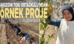 Akgedik TOKİ Ortaokulu’ndan örnek proje