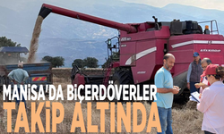 Manisa'da biçerdöverler takip altında
