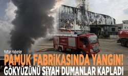 Pamuk fabrikasında yangın! Gökyüzünü siyah dumanlar kapladı