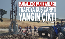 Mahallede panik anları! Trafoya kuş çarptı, yangın çıktı