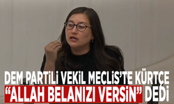 DEM Partili vekil Meclis'te Kürtçe “Allah belanızı versin” dedi