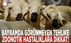 Bayramda görünmeyen tehlike: Zoonotik hastalıklara dikkat!