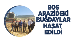 Manisa'da boş arazilerdeki buğdaylar hasat edildi