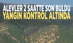 Alevler 2 saatte son buldu: Yangın kontrol altında