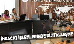 İHRACAT İŞLEMLERİNDE DİJİTALLEŞME