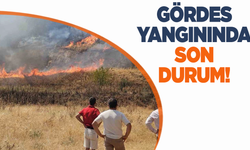 Gördes'te Zirai Alan Yangını: Müdahale Sürüyor