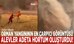 Orman yangınının en çarpıcı görüntüsü: Alevler adeta hortum oluşturdu