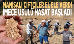 Manisalı çiftçiler el ele verdi: İmece usulü hasat başladı