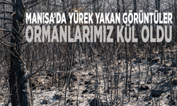 Manisa’da yürek yakan görüntüler: Ormanlarımız kül oldu