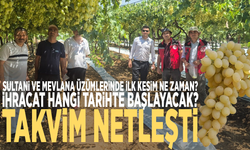 Sultani ve Mevlana üzümlerinde ilk kesim ne zaman? İhracat hangi tarihte başlayacak? Takvim netleşti