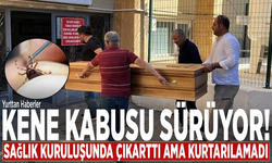 Kene kabusu sürüyor! Sağlık kuruluşunda çıkarttı ama kurtarılamadı