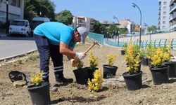 İlçenin çehresi güzelleşiyor