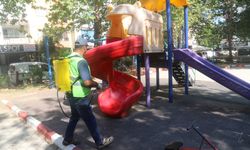 Parklarda yaz temizliği