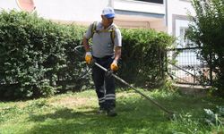 Yeşil bir Yunusemre için çalışmalar sürüyor